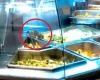 Aeon Mall phản hồi về vụ chuột bò trên khay thức ăn khu ẩm thực
